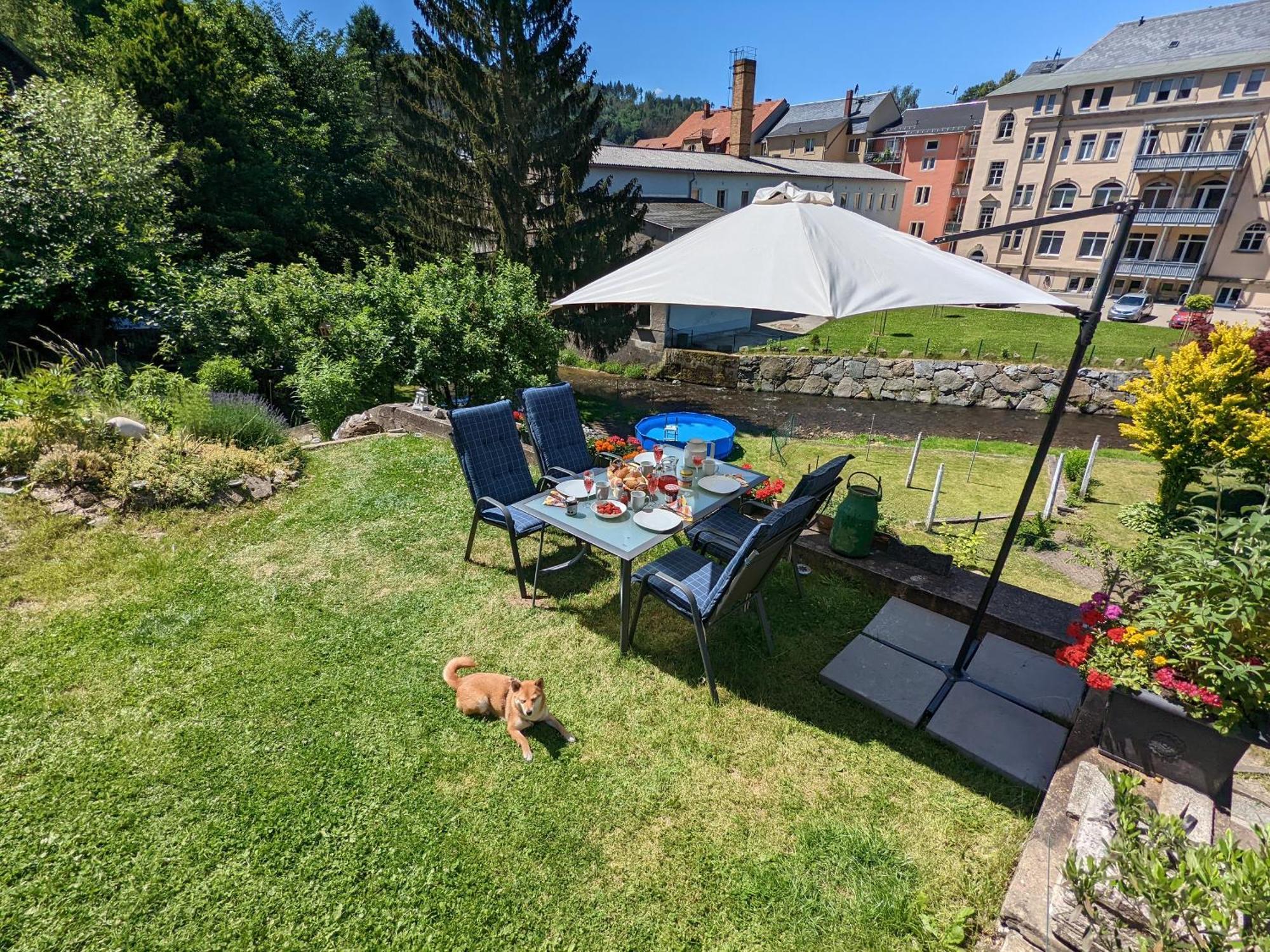 F3 Urlaubsmagie - Pool, Garten & Terrasse - 4P Sebnitz Exterior foto
