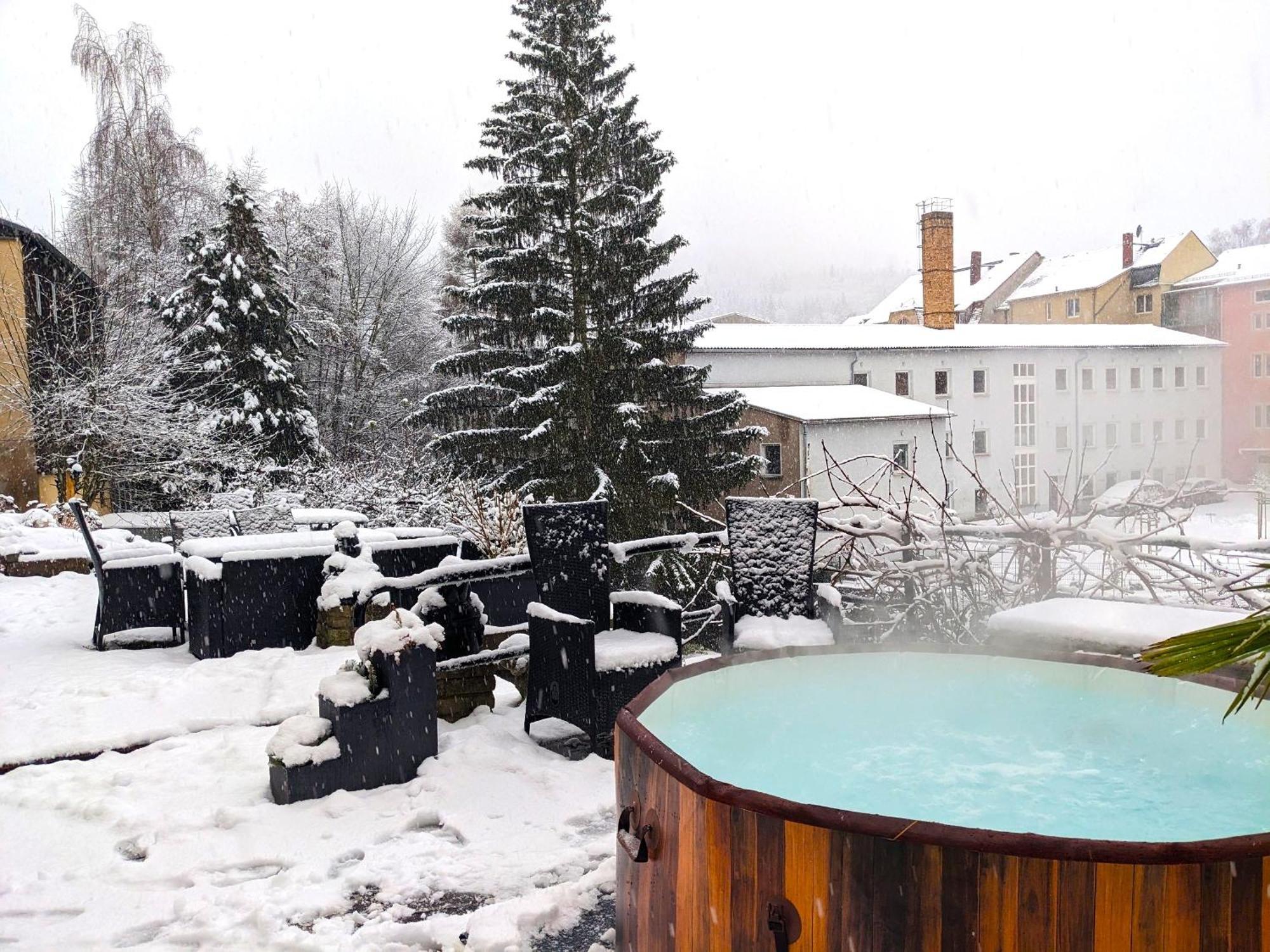 F3 Urlaubsmagie - Pool, Garten & Terrasse - 4P Sebnitz Exterior foto